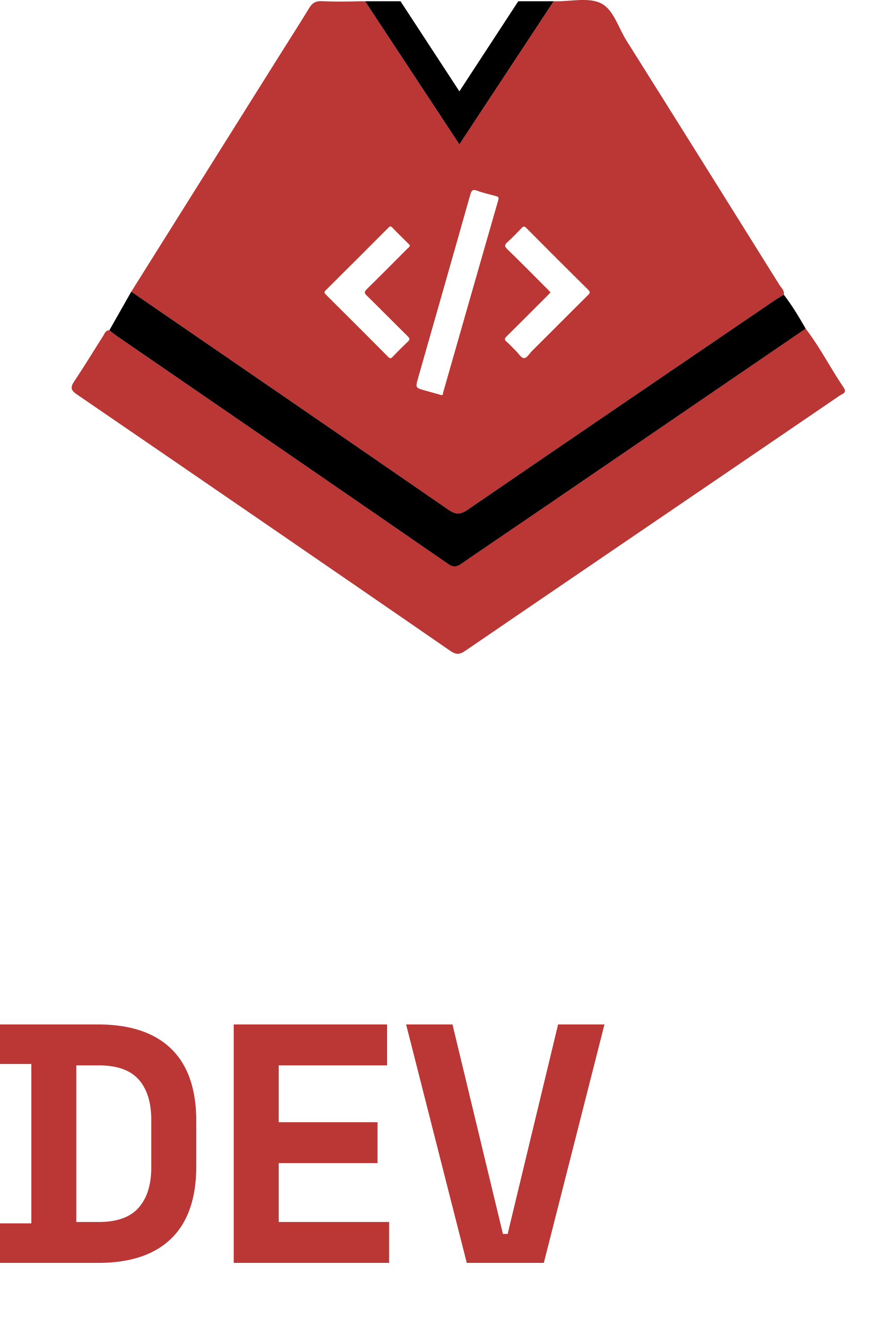 SaltaDev